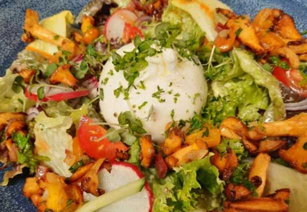 Salat mit Pfifferlinge und Burrata